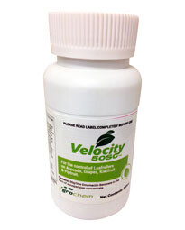 Packshot | Insecticide