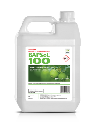 5L BAPSol 100