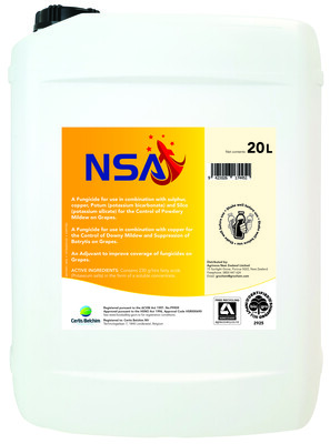 NSA