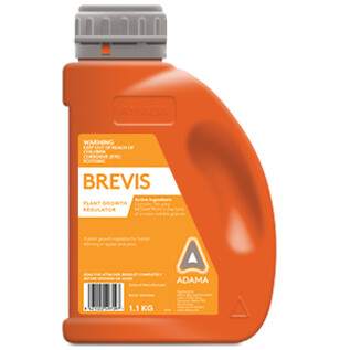 Brevis