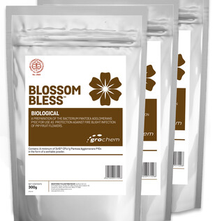 Blossom Bless