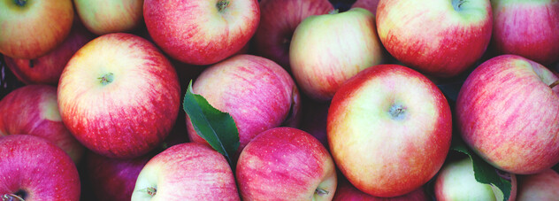 Apples