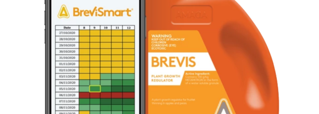 BreviSmart