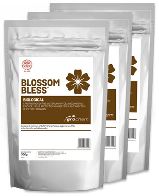 Blossom Bless