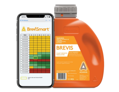 BreviSmart