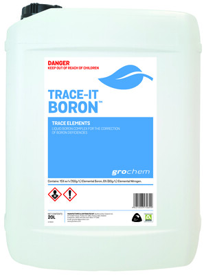 TraceIt Boron