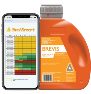 BreviSmart