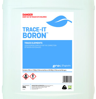 TraceIt Boron