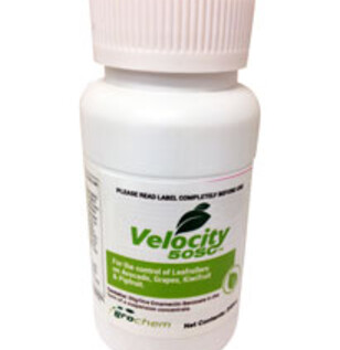 Packshot | Insecticide