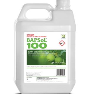 5L BAPSol 100
